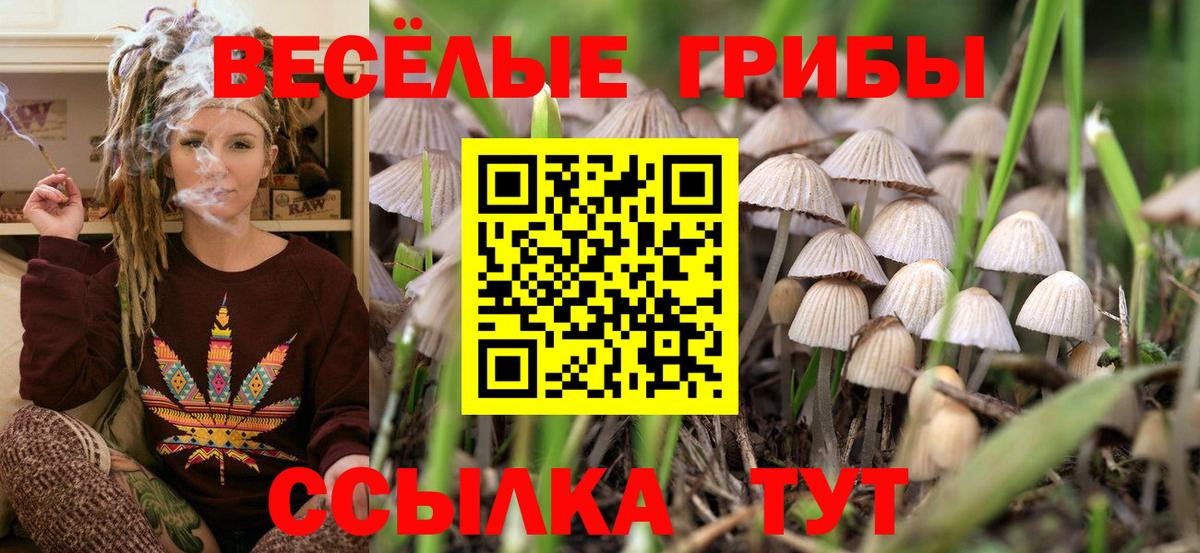 Галлюциногенные грибы Magic Shrooms Миллерово