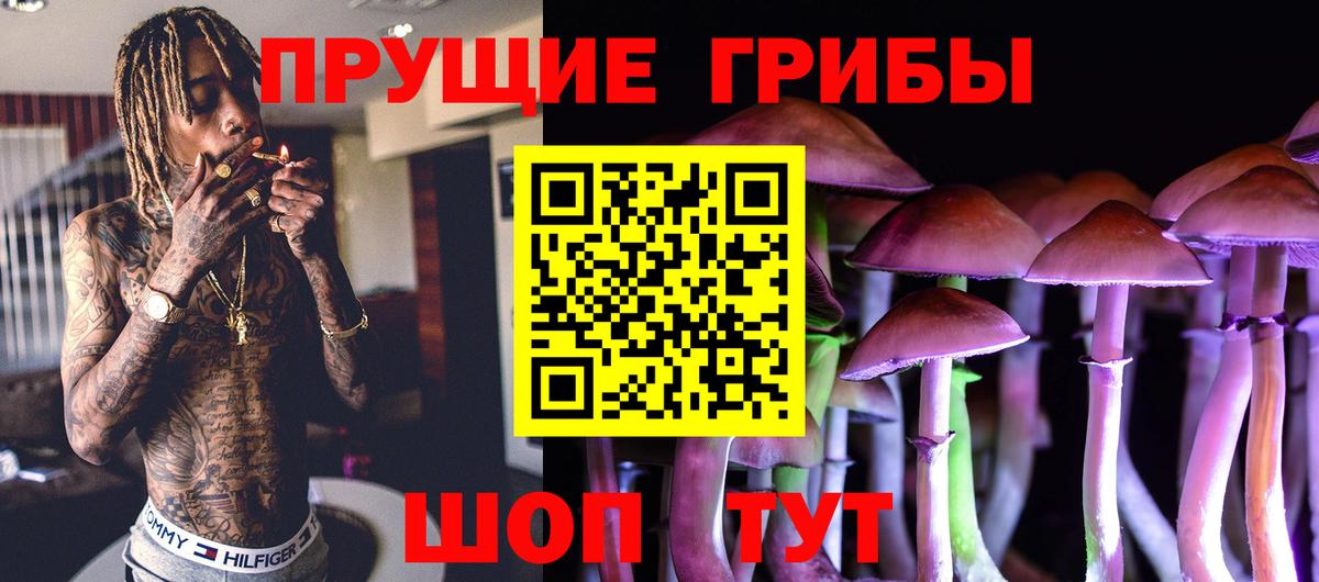 Псилоцибиновые грибы GOLDEN TEACHER  Вход с VPN  Миллерово 